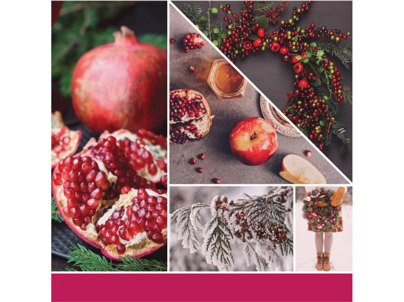 41217-sparkling winterberry - kopie (2)